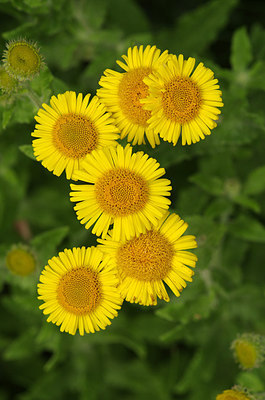 BUITEN BEELD Foto: 210526