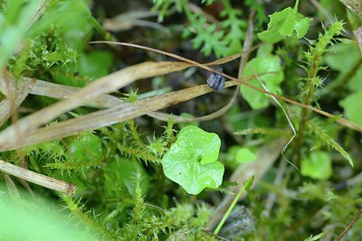BUITEN BEELD Foto: 210554