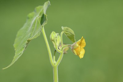 BUITEN BEELD Foto: 210564