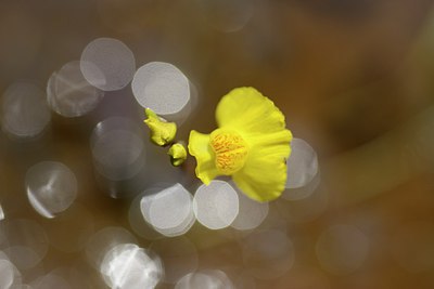 BUITEN BEELD Foto: 210567