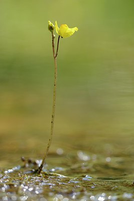 BUITEN BEELD Foto: 210568