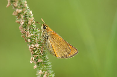 BUITEN BEELD Foto: 210588