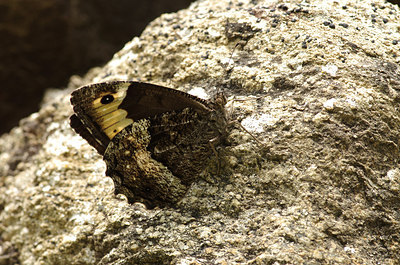 BUITEN BEELD Foto: 210592