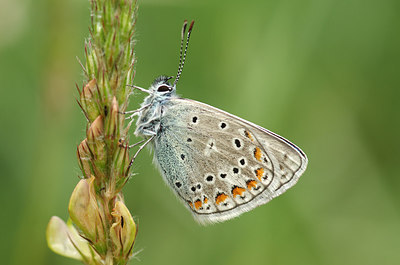 BUITEN BEELD Foto: 210593