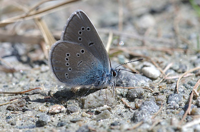 BUITEN BEELD Foto: 210595