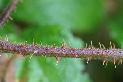 BUITEN BEELD Foto: 210623