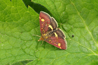 BUITEN BEELD Foto: 210648