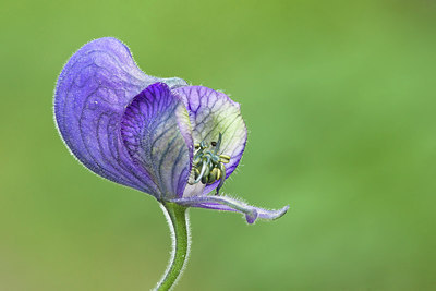 BUITEN BEELD Foto: 210739