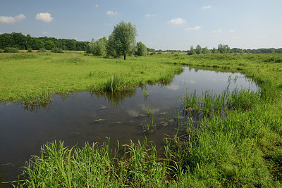BUITEN BEELD Foto: 210766