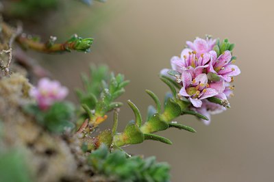 BUITEN BEELD Foto: 210828