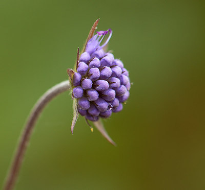 BUITEN BEELD Foto: 210919