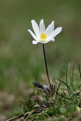 BUITEN BEELD Foto: 210965