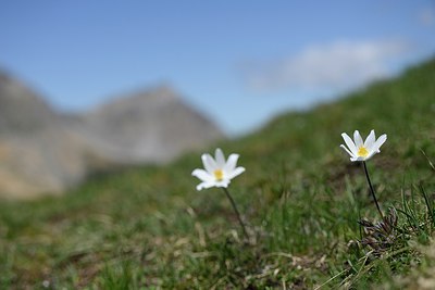 BUITEN BEELD Foto: 210967