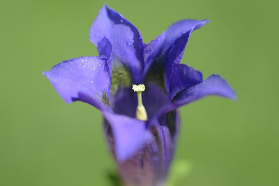 BUITEN BEELD Foto: 210989