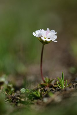 BUITEN BEELD Foto: 211016