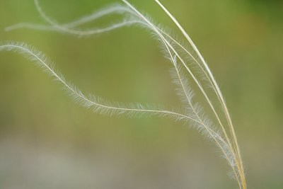 BUITEN BEELD Foto: 211228