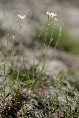 BUITEN BEELD Foto: 211231