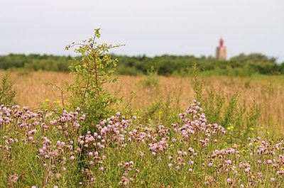 BUITEN BEELD Foto: 211267