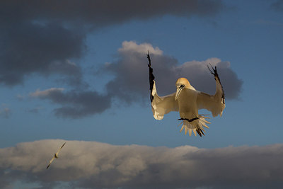 BUITEN BEELD Foto: 211281