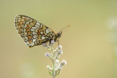 BUITEN BEELD Foto: 211378