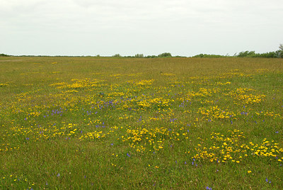 BUITEN BEELD Foto: 211446