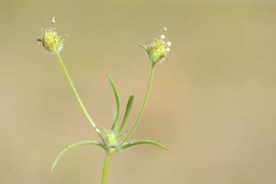 BUITEN BEELD Foto: 211553