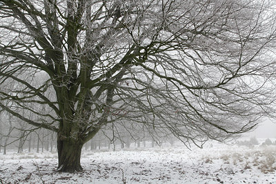 BUITEN BEELD Foto: 211583