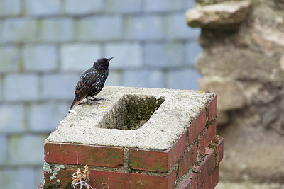 BUITEN BEELD Foto: 211612