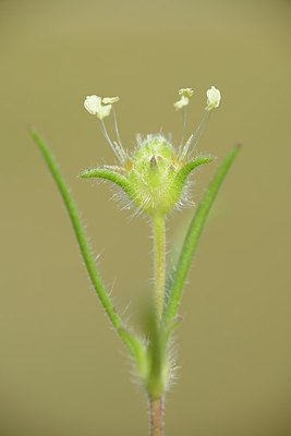 BUITEN BEELD Foto: 211649