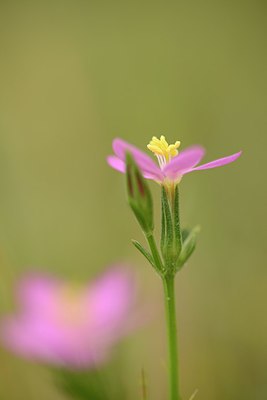 BUITEN BEELD Foto: 211705