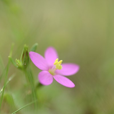 BUITEN BEELD Foto: 211706