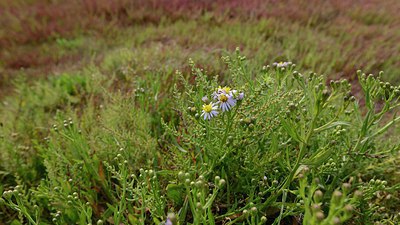 BUITEN BEELD Foto: 211737