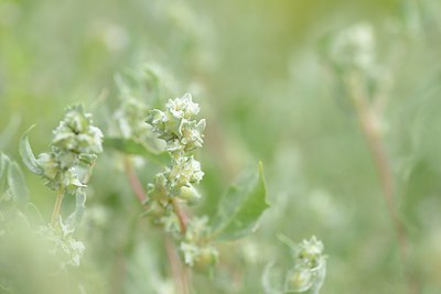 BUITEN BEELD Foto: 211753