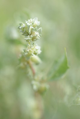 BUITEN BEELD Foto: 211756