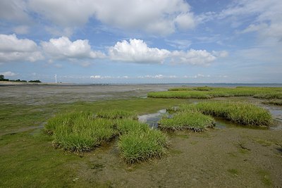 BUITEN BEELD Foto: 211776