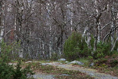 BUITEN BEELD Foto: 211808