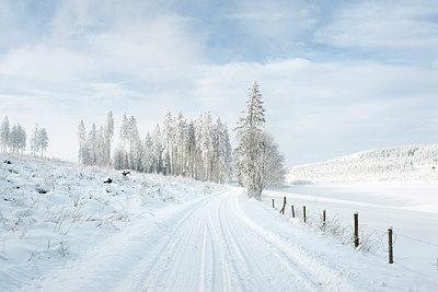 BUITEN BEELD Foto: 211813