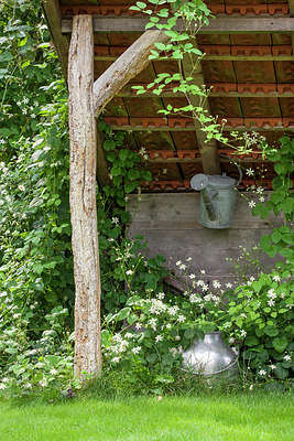 BUITEN BEELD Foto: 211830