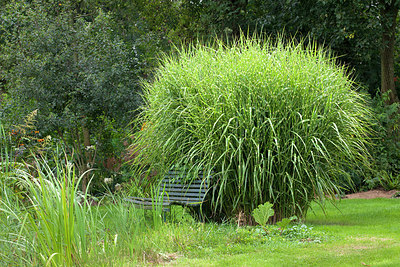 BUITEN BEELD Foto: 211831
