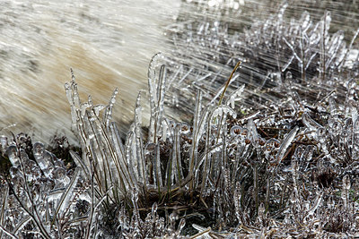 BUITEN BEELD Foto: 211907