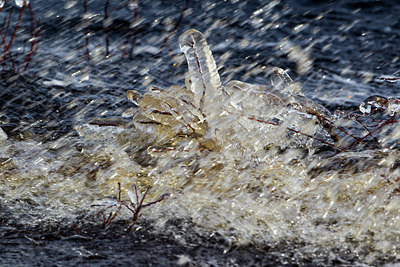 BUITEN BEELD Foto: 211909