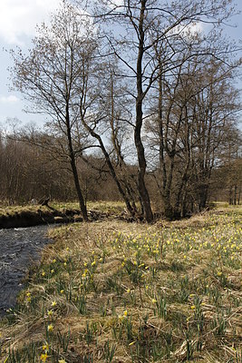 BUITEN BEELD Foto: 211966