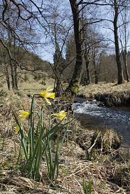 BUITEN BEELD Foto: 212001