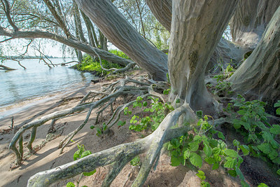 BUITEN BEELD Foto: 212014