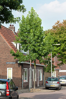 BUITEN BEELD Foto: 212046