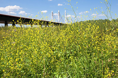 BUITEN BEELD Foto: 212051