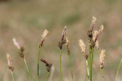 BUITEN BEELD Foto: 212172