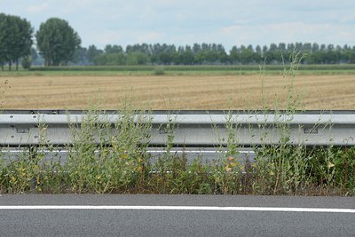 BUITEN BEELD Foto: 212228