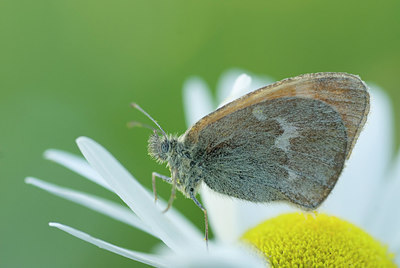 BUITEN BEELD Foto: 212247