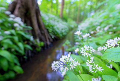 BUITEN BEELD Foto: 212311